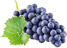 Grapes